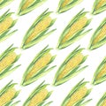 Seamless Pattern of corn cobs with leaves on white background. Eco vegetables plants. Shop design, healthy lifestyle Royalty Free Stock Photo