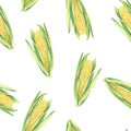 Seamless Pattern of corn cobs with leaves on white background. Eco vegetables plants. Shop design, healthy lifestyle Royalty Free Stock Photo