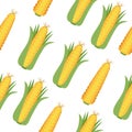 Seamless pattern with corn cobs with yellow corn grains and green leaves . Repeatable illustrations of the ripe corn on Royalty Free Stock Photo