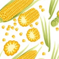 Seamless pattern. Corn with leaves. Corn cob with separated seeds. Flat vector illustration on white background Royalty Free Stock Photo