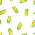 Seamless pattern with corn on a white background. Pattern with vegetables