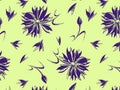 Seamless pattern with a cornflower on a background