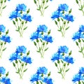 Seamless pattern with cornflowers bouquet. Blue beautiful flowers. Hand drawn watercolor illustration. Texture for print, fabric, Royalty Free Stock Photo