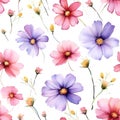 Seamless watercolor pattern with floral plants Cosmos. Vector Illustration