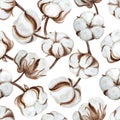 Seamless pattern of cotton flowers