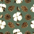 Seamless pattern with cotton and larch cones. Watercolor illustration isolated on white background Royalty Free Stock Photo