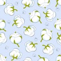Seamless pattern with cotton plant Royalty Free Stock Photo