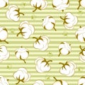 Seamless pattern with cotton plant Royalty Free Stock Photo