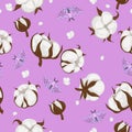 Seamless pattern with cotton plant and moths Royalty Free Stock Photo
