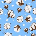 Seamless pattern with cotton plant. vector image Royalty Free Stock Photo