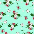 Seamless pattern with cotton plant. Vector graphics Royalty Free Stock Photo