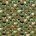 Seamless pattern with cows on green background. Vector illustration Royalty Free Stock Photo