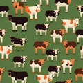 Seamless pattern with cows on green background. Vector illustration