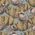 Seamless pattern with crabs and shells