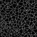 Seamless pattern.The cracks texture white and black. Royalty Free Stock Photo