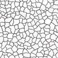 Seamless pattern.The cracks texture white and black. Vector background. Royalty Free Stock Photo