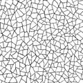 Seamless pattern.The cracks texture white and black. Vector background