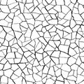 Seamless pattern.The cracks texture white and black. Vector background. Royalty Free Stock Photo