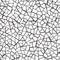 Seamless pattern.The cracks texture white and black. Vector background. Royalty Free Stock Photo
