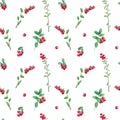 Watercolor seamless pattern with cranberries, leaves and brunches.