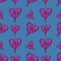 Seamless pattern with crocus illustration on blue background, great design for any purposes. Greeting minimalistic card design.