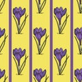 Seamless pattern with crocus illustration on illuminating yellow background with violet stripes, great design for any purposes.