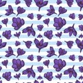 Seamless pattern with crocus illustration on white and blue striped background, great design for any purposes. Greeting