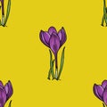 Seamless pattern with crocus illustration on yellow background, great design for any purposes. Greeting minimalistic card design.