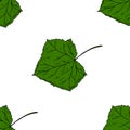 Seamless pattern of cucumber leaves. Vector cartoon background. Hand-drawn style.