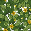 Seamless pattern. Cucumbers in section.