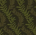 Seamless pattern with curls of fern branches on a dark green background. Vector tropical texture with stems and foliage
