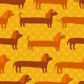 Seamless pattern with cute badger-dogs