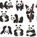 Seamless pattern of cute big panda in different poses cartoon animal design flat vector illustration Royalty Free Stock Photo