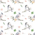 Seamless pattern of cute birds on the spring apple tree branches Royalty Free Stock Photo