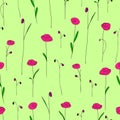 Seamless pattern with cute bright pink flowers. Green background Royalty Free Stock Photo