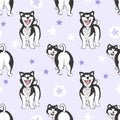 Seamless pattern with cute cartoon drawing dogs husky or alaskan malamute, funny adorable pets, on purple background with stars,