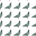 Seamless pattern with cute cartoon pigeions