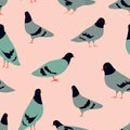 Seamless pattern with cute cartoon pigeions