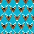 Seamless pattern with cute deer in glasses, hipste
