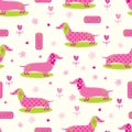 Seamless pattern with cute dog Royalty Free Stock Photo