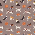 Seamless pattern with cute dogs of various breeds playing, running, walking, sitting, sleeping. Backdrop with adorable