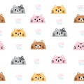 Seamless pattern of cute face cat with love you text on white background.Pet animal Royalty Free Stock Photo