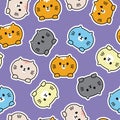 Seamless pattern of cute face cat on purple background.Pet animal character cartoon Royalty Free Stock Photo