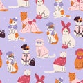 Seamless pattern with cute fashionable cats. Vector graphics