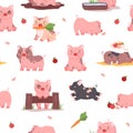 Seamless pattern with cute funny pigs flat style, vector illustration Royalty Free Stock Photo