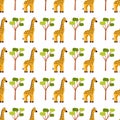 Seamless pattern with cute giraffes and acacias. African pattern