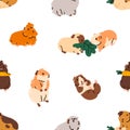 Seamless pattern, cute guinea pigs. Funny kawaii cavies, endless background, texture. Adorable animals, pets, repeating Royalty Free Stock Photo