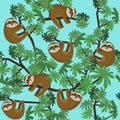 Seamless pattern with cute jungle sloths on blue background, vector illustration.