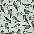 Seamless pattern with cute little birds Royalty Free Stock Photo