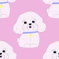 Seamless pattern with cute little dog bichon frize.